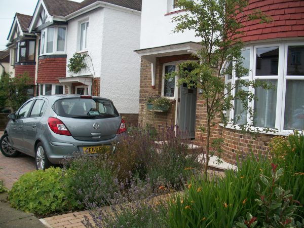 A Front Garden In Hove Sussex That Has Good Planting And A Tree And